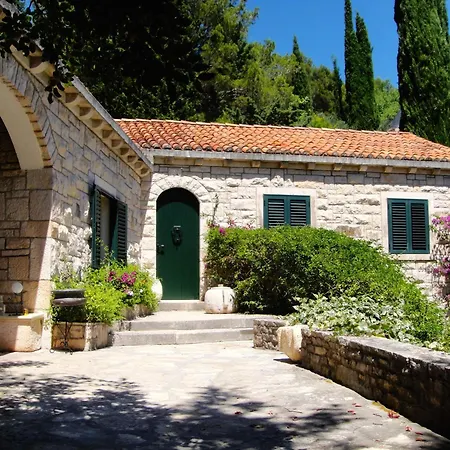 Klematis