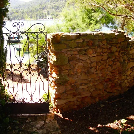 Klematis * Vela Luka