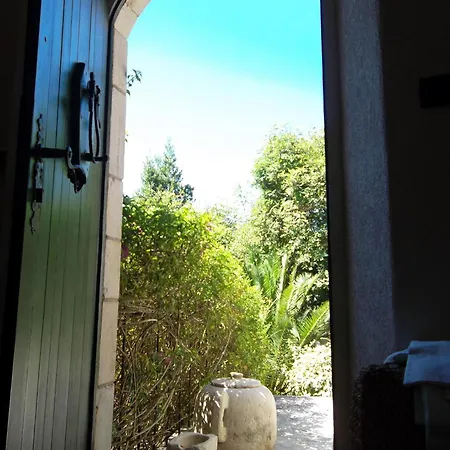 Klematis Vela Luka