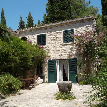 Klematis Vila
