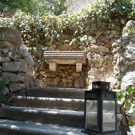 Klematis