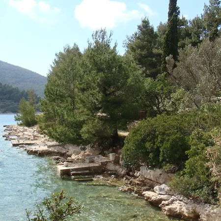 Vila Klematis Vela Luka