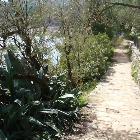 Vila Klematis