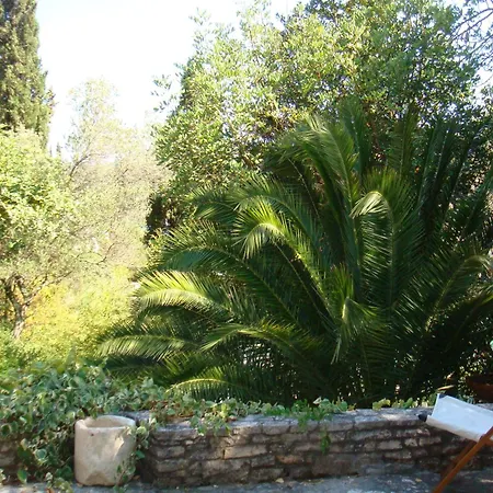Klematis Villa