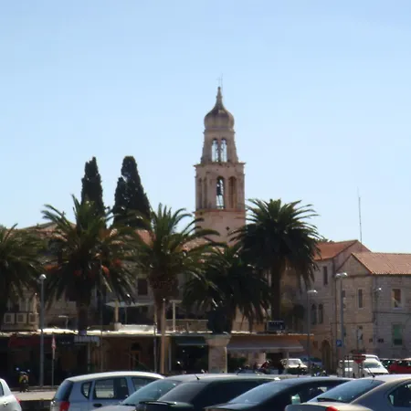 Klematis Vila Vela Luka