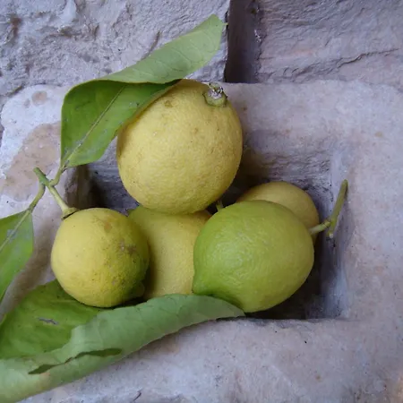Vila Klematis Vela Luka