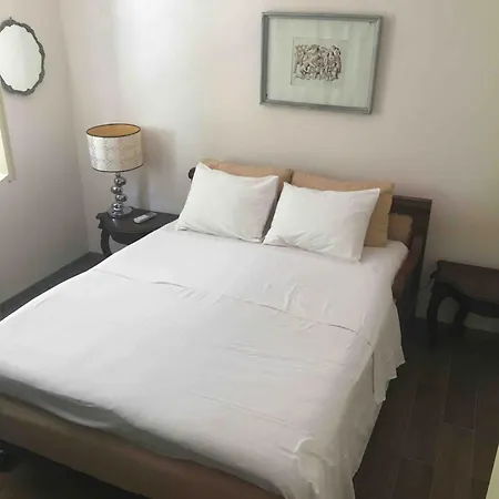 Klematis Vila Vela Luka