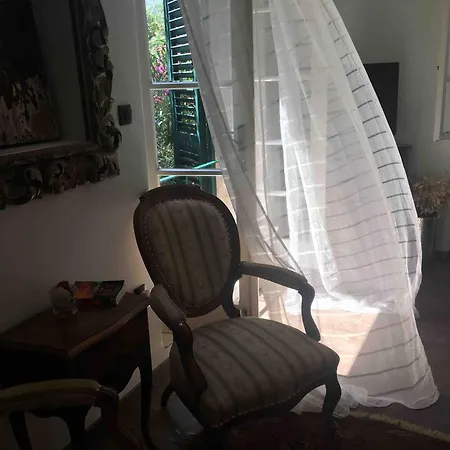 Klematis Vila Vela Luka