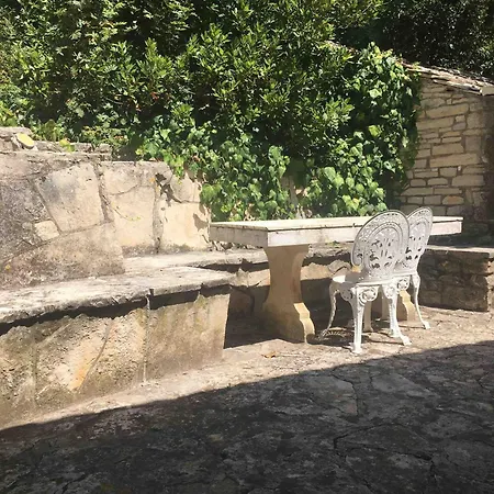 Klematis * Vela Luka