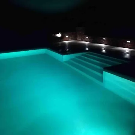 Klematis Vila Vela Luka