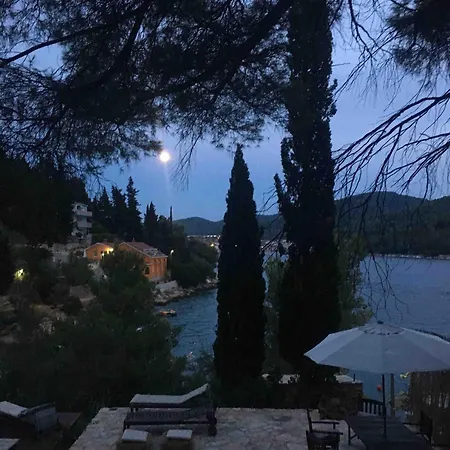 Klematis Vila Vela Luka